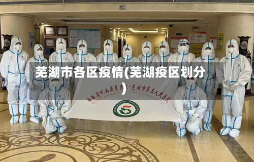芜湖市各区疫情(芜湖疫区划分)-第2张图片