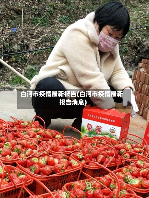 白河市疫情最新报告(白河市疫情最新报告消息)
