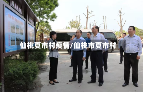 仙桃夏市村疫情/仙桃市夏市村