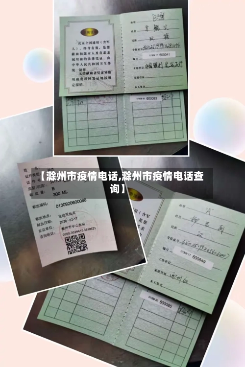 【滁州市疫情电话,滁州市疫情电话查询】