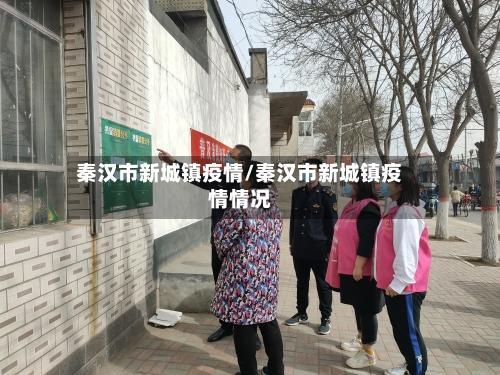 秦汉市新城镇疫情/秦汉市新城镇疫情情况