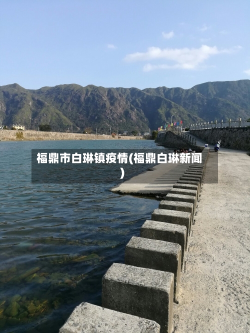 福鼎市白琳镇疫情(福鼎白琳新闻)-第2张图片