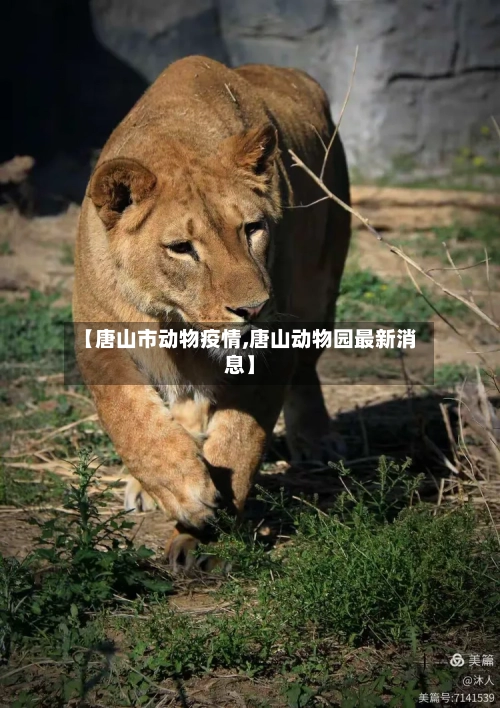 【唐山市动物疫情,唐山动物园最新消息】-第3张图片