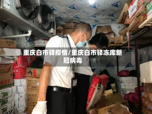 重庆白市驿疫情/重庆白市驿冻库新冠病毒