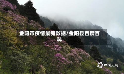 金阳市疫情最新数据/金阳县百度百科