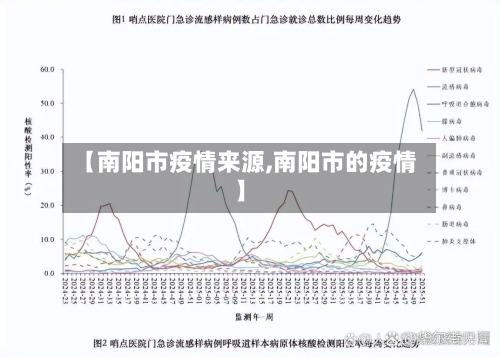 【南阳市疫情来源,南阳市的疫情】-第3张图片