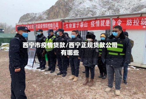 西宁市疫情贷款/西宁正规贷款公司有哪些
