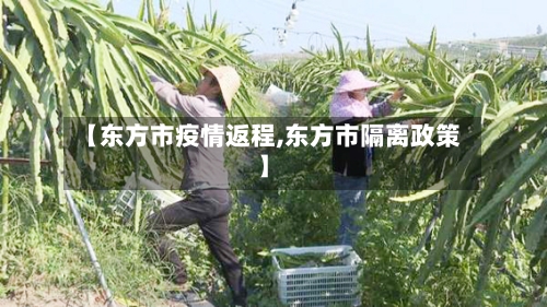 【东方市疫情返程,东方市隔离政策】-第2张图片