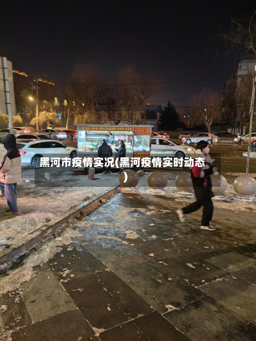 黑河市疫情实况(黑河疫情实时动态)-第3张图片