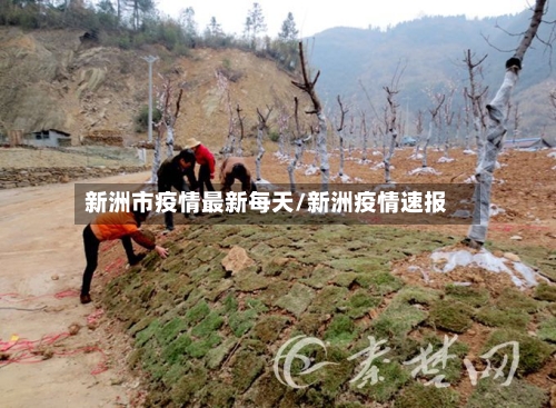 新洲市疫情最新每天/新洲疫情速报-第2张图片