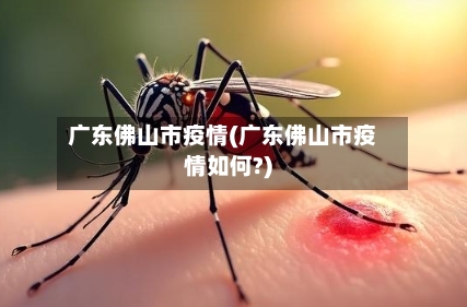 广东佛山市疫情(广东佛山市疫情如何?)-第2张图片