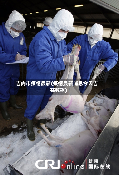吉内市疫情最新(疫情最新消息今天吉林数据)