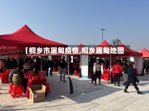 【桐乡市屠甸疫情,桐乡屠甸地图】-第2张图片