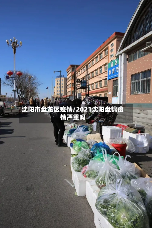 沈阳市盘龙区疫情/2021沈阳盘锦疫情严重吗