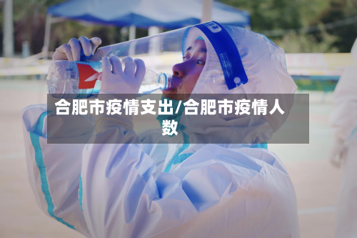 合肥市疫情支出/合肥市疫情人数