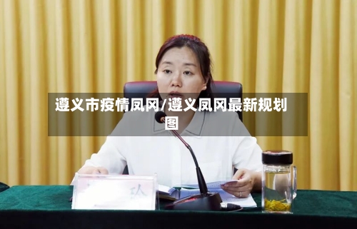 遵义市疫情凤冈/遵义凤冈最新规划图