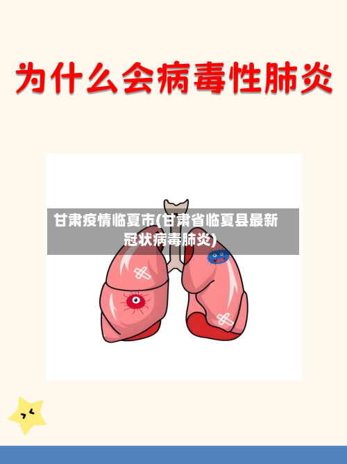 甘肃疫情临夏市(甘肃省临夏县最新冠状病毒肺炎)