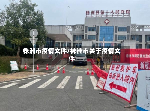 株洲市疫情文件/株洲市关于疫情文件