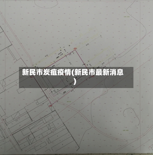 新民市炭疽疫情(新民市最新消息)
