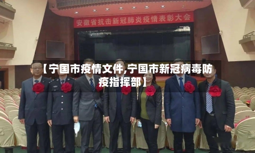 【宁国市疫情文件,宁国市新冠病毒防疫指挥部】