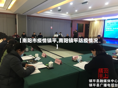 【南阳市疫情镇平,南阳镇平防疫情况】-第2张图片