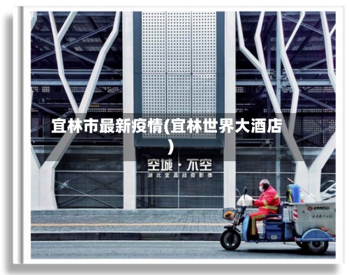 宜林市最新疫情(宜林世界大酒店)