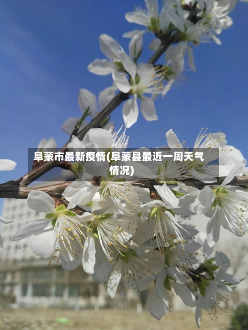 阜蒙市最新疫情(阜蒙县最近一周天气情况)