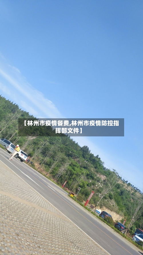 【林州市疫情餐费,林州市疫情防控指挥部文件】