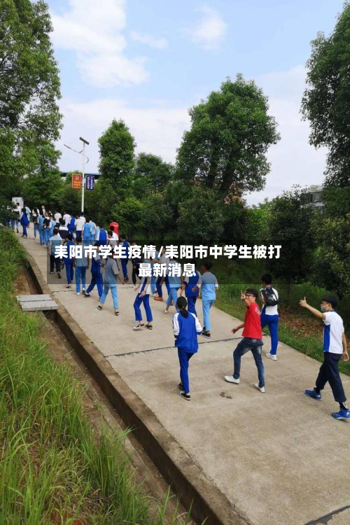 耒阳市学生疫情/耒阳市中学生被打最新消息