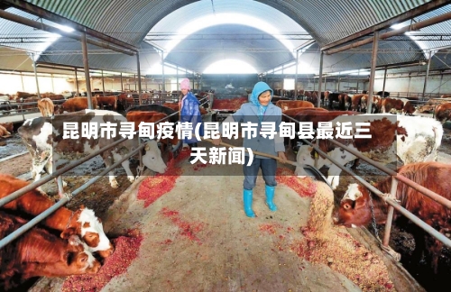 昆明市寻甸疫情(昆明市寻甸县最近三天新闻)