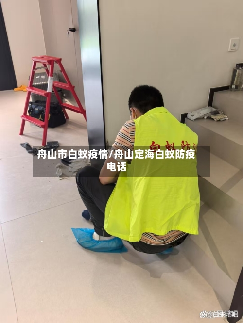 舟山市白蚁疫情/舟山定海白蚁防疫电话