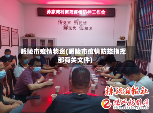 醴陵市疫情物资(醴陵市疫情防控指挥部有关文件)