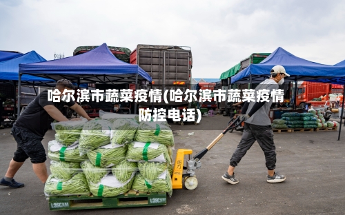 哈尔滨市蔬菜疫情(哈尔滨市蔬菜疫情防控电话)