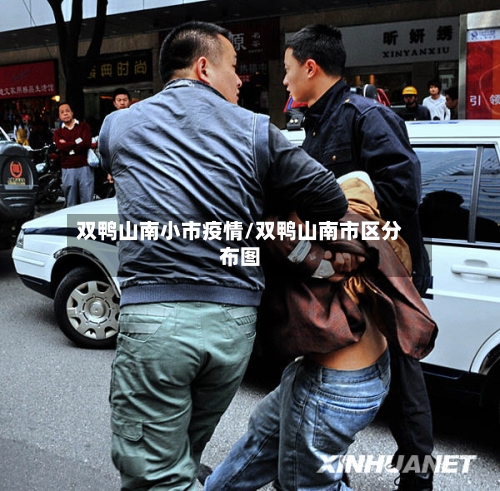 双鸭山南小市疫情/双鸭山南市区分布图