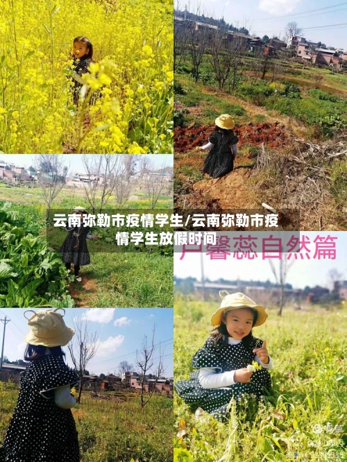 云南弥勒市疫情学生/云南弥勒市疫情学生放假时间-第2张图片