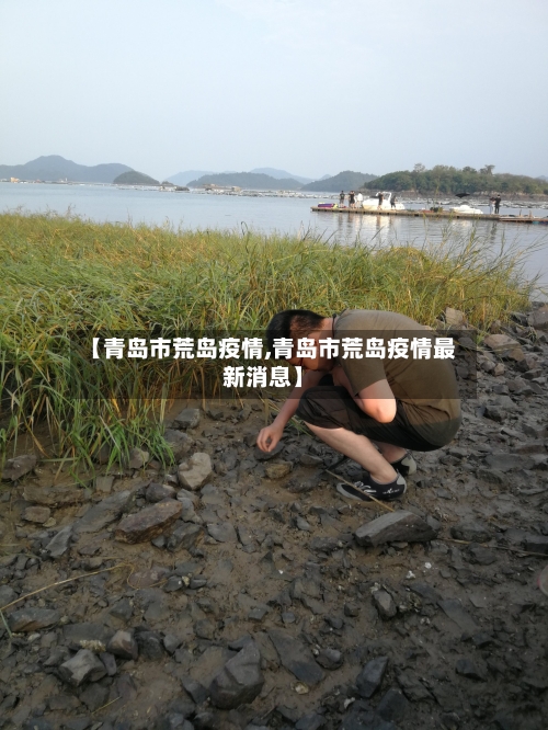 【青岛市荒岛疫情,青岛市荒岛疫情最新消息】