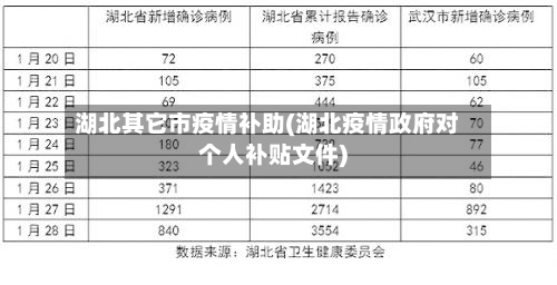 湖北其它市疫情补助(湖北疫情政府对个人补贴文件)