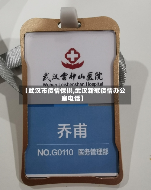 【武汉市疫情保供,武汉新冠疫情办公室电话】-第2张图片