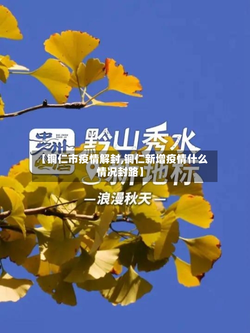 【铜仁市疫情解封,铜仁新增疫情什么情况封路】-第2张图片