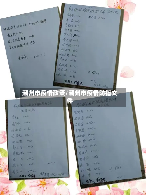 潮州市疫情政策/潮州市疫情防指文件-第3张图片