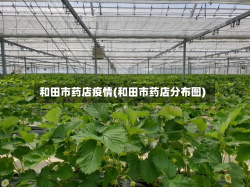 和田市药店疫情(和田市药店分布图)-第2张图片
