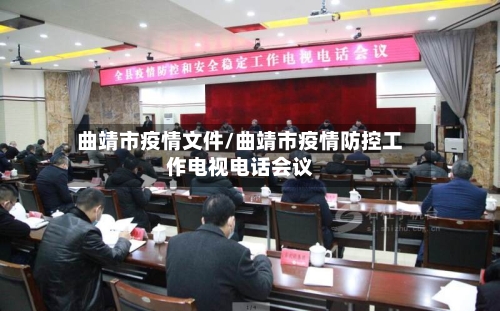 曲靖市疫情文件/曲靖市疫情防控工作电视电话会议-第3张图片