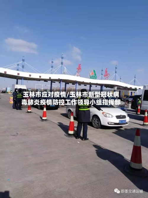 玉林市应对疫情/玉林市新型冠状病毒肺炎疫情防控工作领导小组指挥部