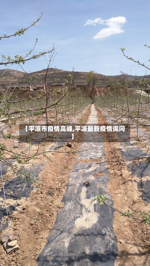 【平凉市疫情高峰,平凉最新疫情询问】-第3张图片