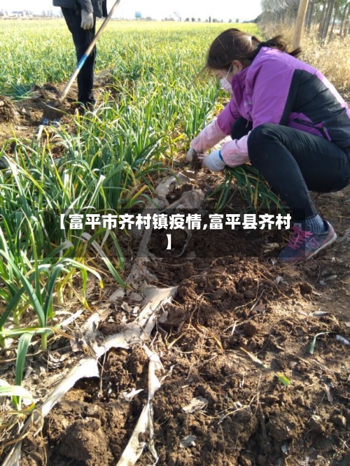 【富平市齐村镇疫情,富平县齐村】