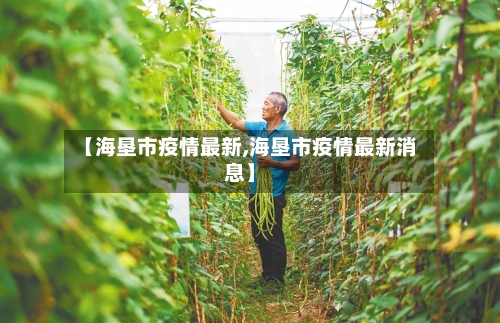 【海垦市疫情最新,海垦市疫情最新消息】-第3张图片