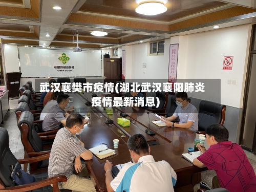 武汉襄樊市疫情(湖北武汉襄阳肺炎疫情最新消息)