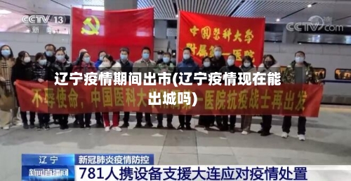 辽宁疫情期间出市(辽宁疫情现在能出城吗)