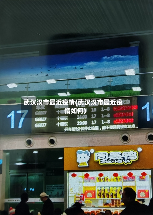 武汉汉市最近疫情(武汉汉市最近疫情如何)
