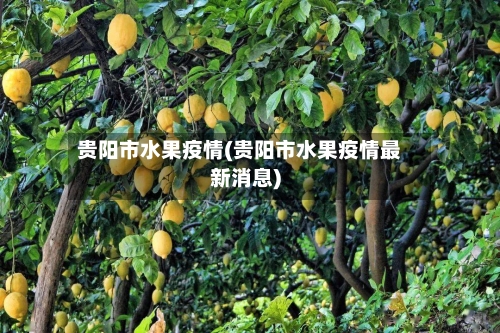 贵阳市水果疫情(贵阳市水果疫情最新消息)